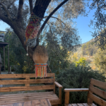 Captura de tela 2025-12-30 123204