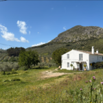 Captura de tela 2025-12-30 140118