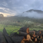 Captura de tela 2025-12-30 140247