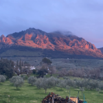 Captura de tela 2025-12-30 140300