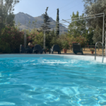 Captura de tela 2025-12-30 140311