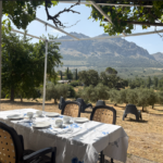 Captura de tela 2025-12-30 140418